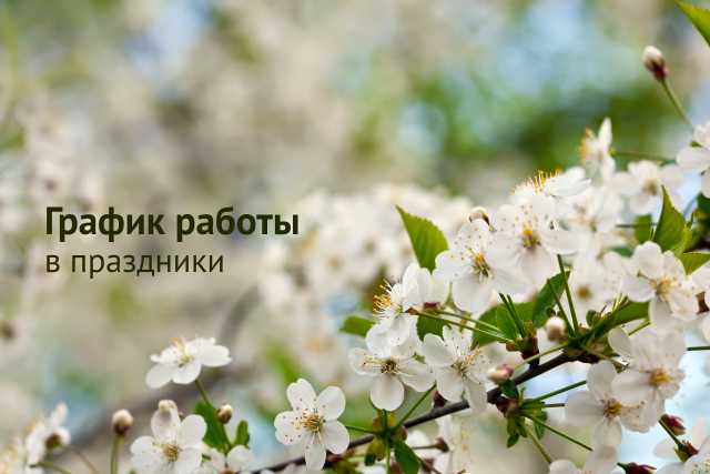 30 апреля – до 16.30 • 1-4 мая – выходные дни • 5-6 мая – рабочие дни • 7 мая –  до 16.30 • 8-11 мая – выходные дни • с 12 мая – рабочий день