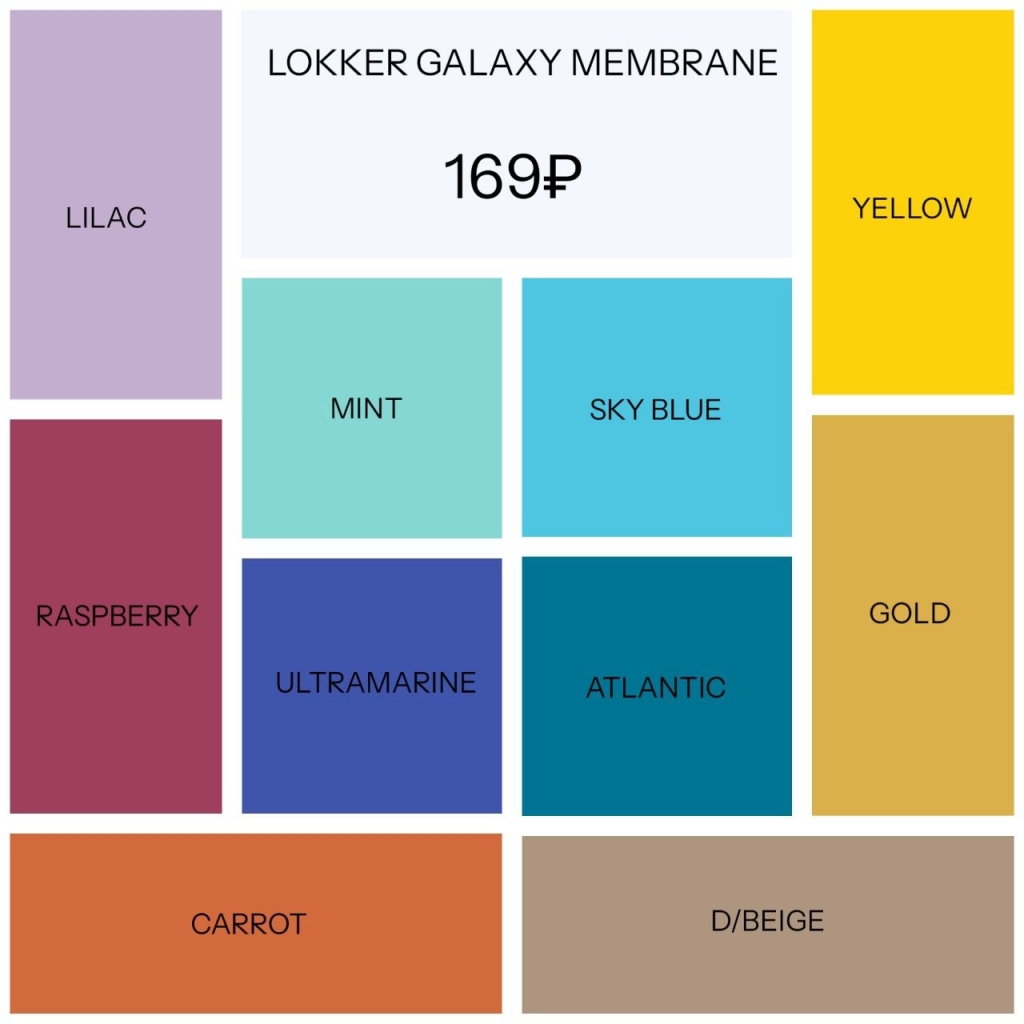 LOKKER GALAXY MEMBRANE.jpg