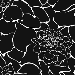 FITSYSTEM SOLO DESIGN DAHLIA FLOWERS BLACK WHITE